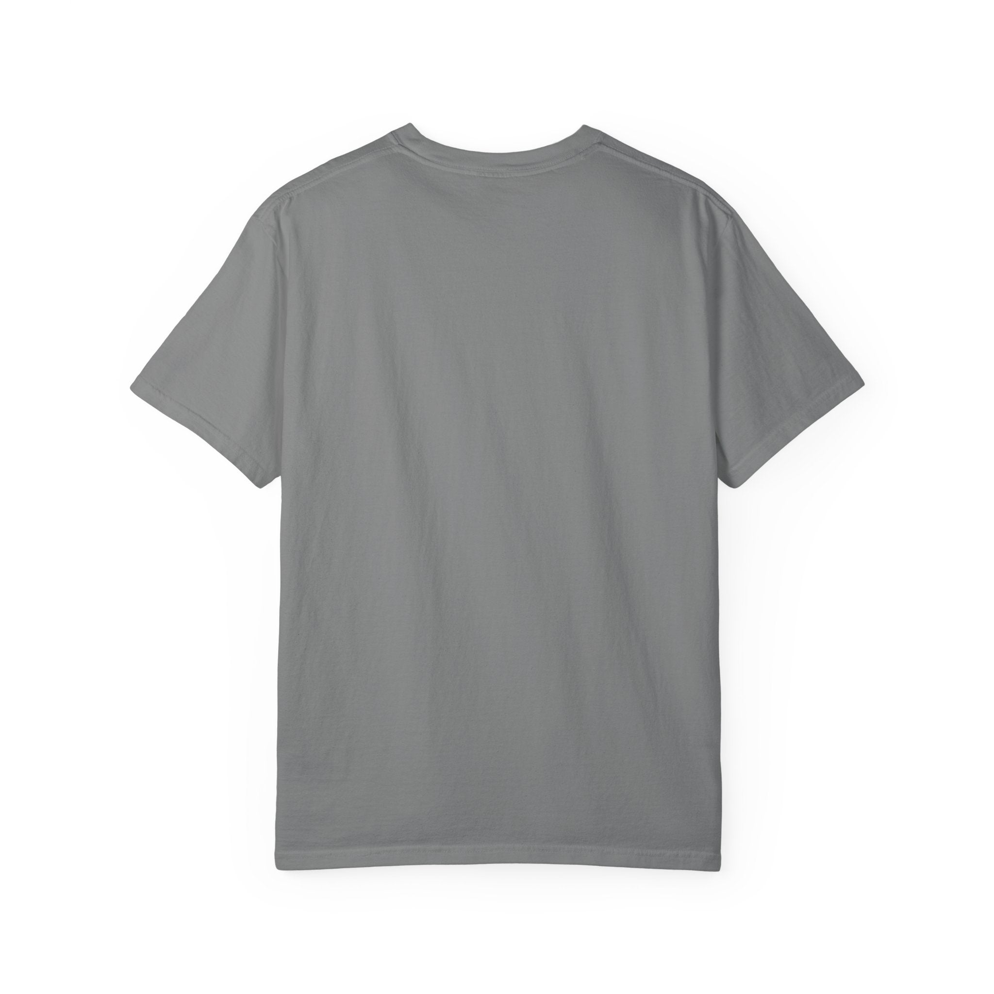 Bathroom Billionaire T-Shirt — Cute Bear on Toilet Graphic Tee
